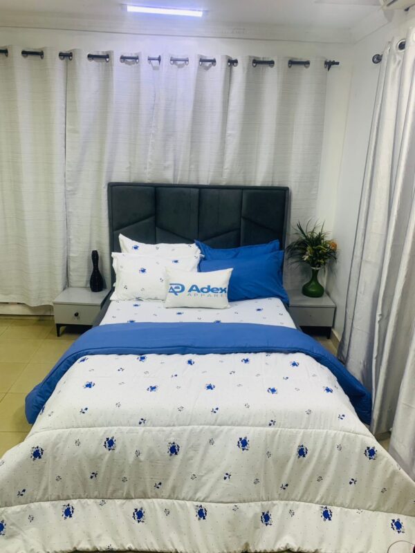 DESIGNER BLUE AND WHITE ACCENTS 7/7 DUVET