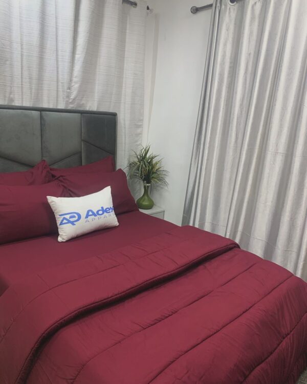 PLAIN MAROON 4 /6 DUVET SET