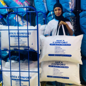 Fiber Filled Pillows
