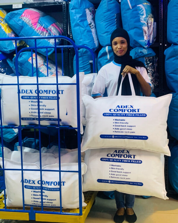 Fiber Filled Pillows